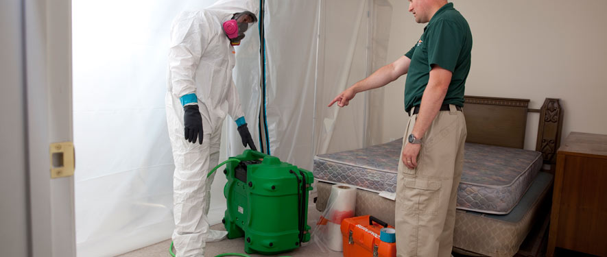 Naples, FL mold removal process